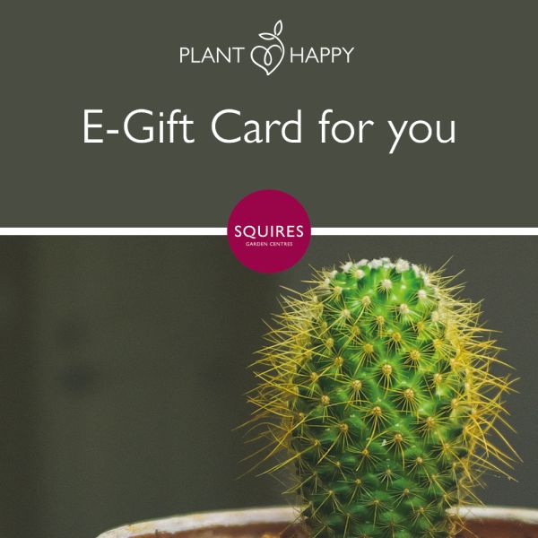 Squire's E-Gift Card - Cactus